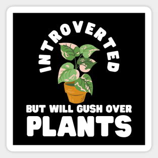 Introvert Plant Magnet